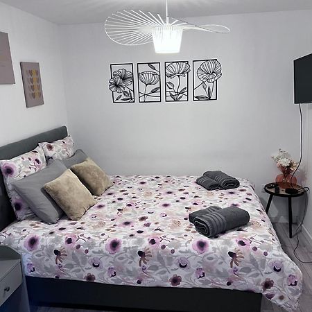 Le Patcho Charmant Studio Confortable & Chaleureux , Idealement Situe Proche Centre Ville Quartier Neustadt Tribunal, Contades Strasbourg Exteriör bild