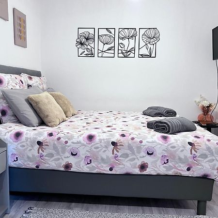 Le Patcho Charmant Studio Confortable & Chaleureux , Idealement Situe Proche Centre Ville Quartier Neustadt Tribunal, Contades Strasbourg Exteriör bild